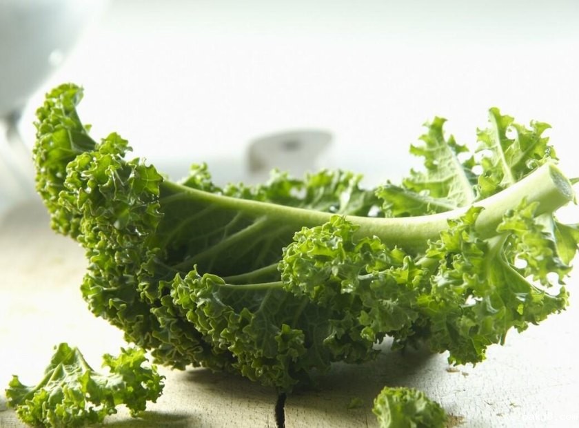 羽衣甘蓝螺旋压榨脱水处理机器